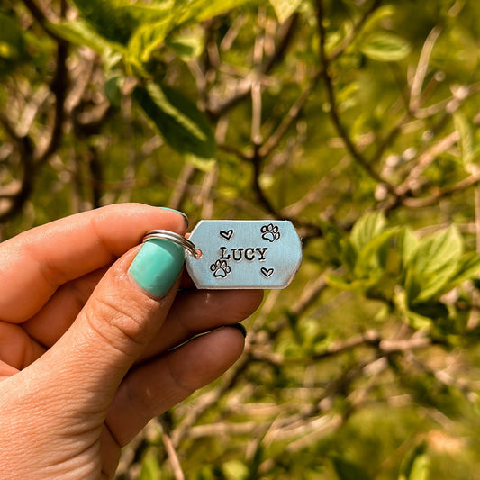 Custom Pet ID Tags